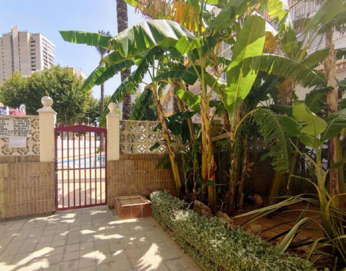 Benidorm Rocas One, Un Oasis A 100 Metros Del Mar Apartment Luaran gambar